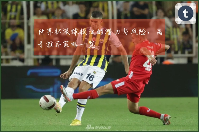 世界杯滚球投注的潜力与风险，高手推荐策略一览