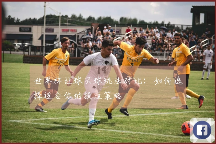 世界杯让球买球玩法对比：如何选择适合你的投注策略