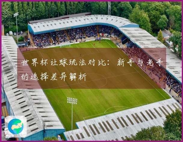 世界杯让球玩法对比：新手与老手的选择差异解析