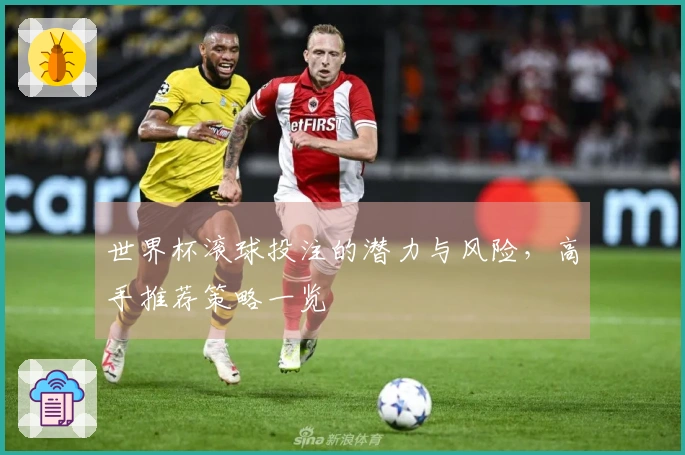 世界杯滚球投注的潜力与风险，高手推荐策略一览