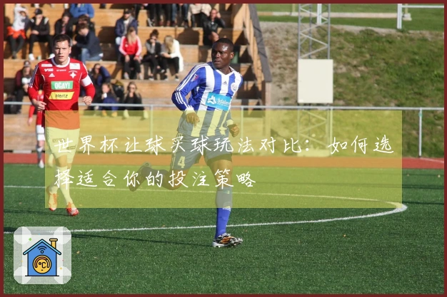 世界杯让球买球玩法对比：如何选择适合你的投注策略